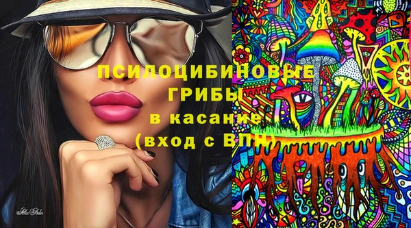 молекула духа Инта