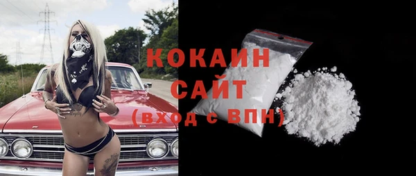 винт Абаза