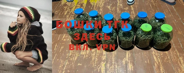 винт Абаза