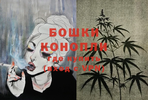винт Абаза