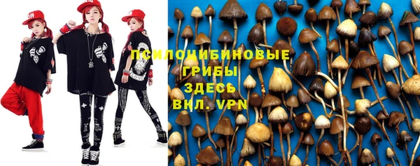 винт Абаза