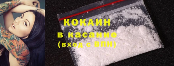 винт Абаза