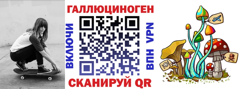 купить   Усть-Кут  Галлюциногенные грибы мухоморы 